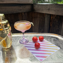 PRISM -  PRISM Cocktail Napkins in 6 Color-Ways